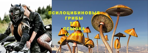 ГАЛЛЮЦИНОГЕННЫЕ ГРИБЫ Белокуриха