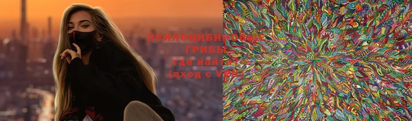 ГАЛЛЮЦИНОГЕННЫЕ ГРИБЫ Белокуриха