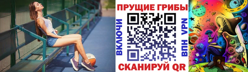 Галлюциногенные грибы Psilocybine cubensis  Кировград 